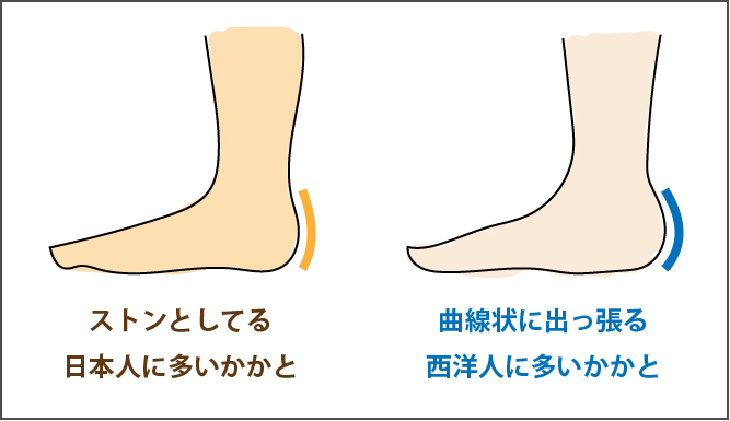 日本人と西洋人のかかと