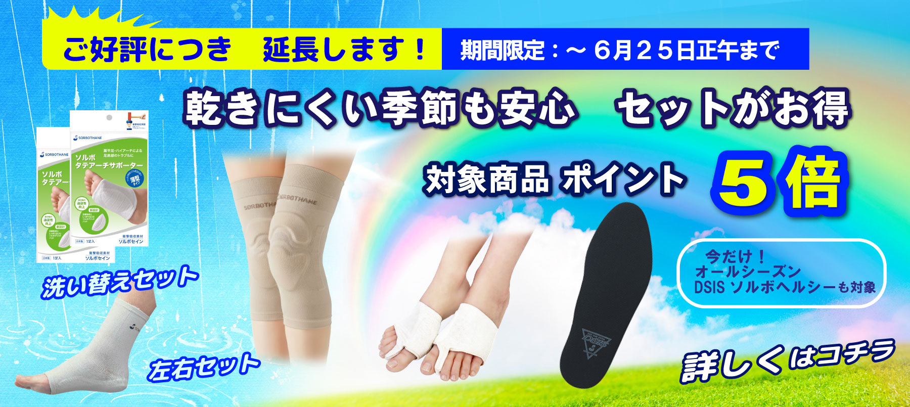 ポイント５倍