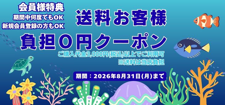 送料クーポン