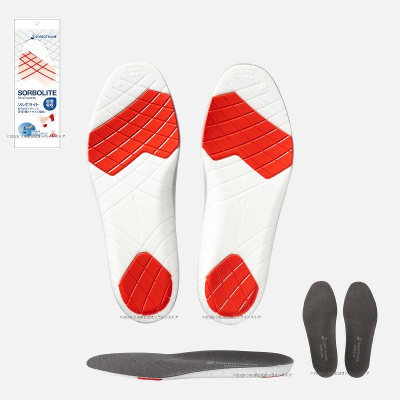 インソール 衝撃吸収 大きいサイズ|ソルボライト（2L、3L）