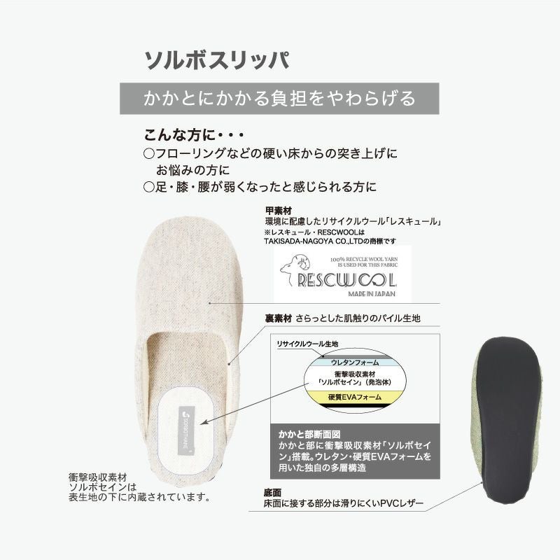 ソルボスリッパの構造