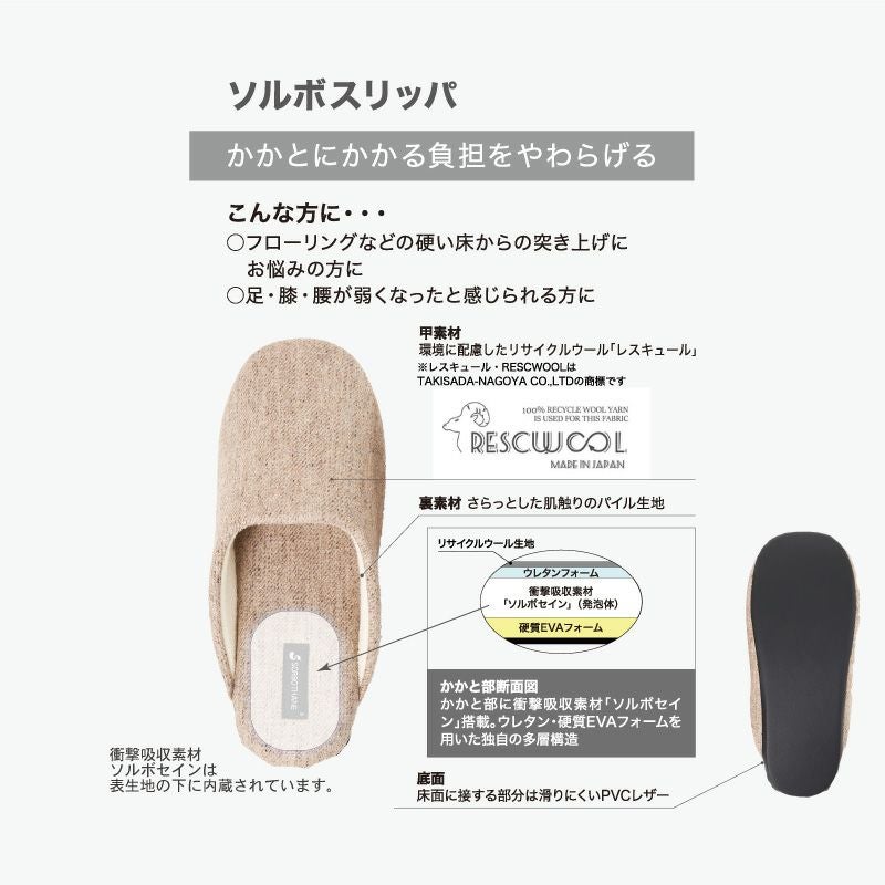 ソルボスリッパの構造